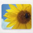Search for sun shine mousepads Sky