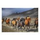 Search for herd art Equine