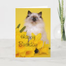 Search for daffodil birthday Cute