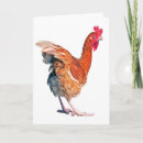 Search for strut cards Funny