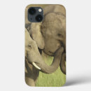 Search for asian elephant cases Elephas maximus