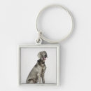 Search for weimaraner key rings Studio shot