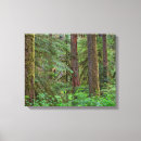 Search for cascade range art Forest