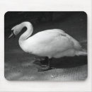 Search for swans mousepads Wildlife