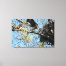 Search for lobbying art Nature