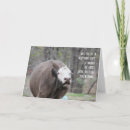 Search for moo cow birthday cards Humour