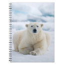 Search for adult notebooks Arctic