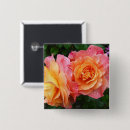 Search for rose petals badges Nature