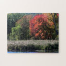 Search for marsh photography Tree
