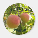 Search for circle photo magnets Refrigerator