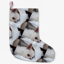 Search for chihuahua christmas stockings Puppy