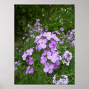 Search for birthday photo posters Picture