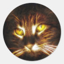 Search for eyes in the dark stickers Cat