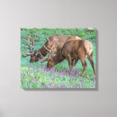 Search for danita delimont canvas prints Elk