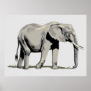 Search for elephant kids posters Wildlife