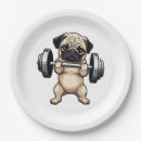 Search for weight plates Fitness