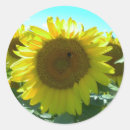 Search for sun power stickers Nature