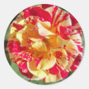Search for aunts birthday stickers Yellow