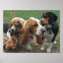 Search for basset posters Beagle