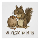 Search for allergies posters Nut