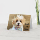 Search for you are special birthday cards Photography