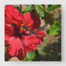 Search for tropical christmas art Nature