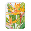 Search for exotic magnets Flowers