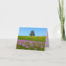Search for horizon cards Sky