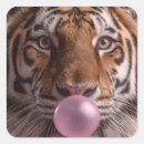 Search for bengal tiger stickers Stripes