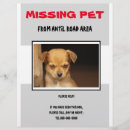 Search for missing flyers Pet