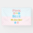 Search for gender reveal banners Pink or blue