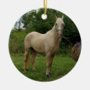 Search for palomino horse christmas tree decorations Equine