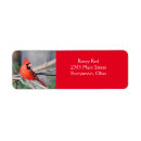 Search for cardinal bird return address labels Nature