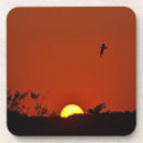 Search for relaxation coasters Peace