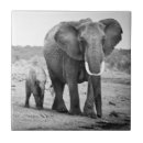 Search for elephant tiles Portrait