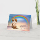 Search for king pet supplies Rainbow bridge