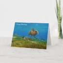 Search for turtle birthday cards Kids