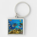 Search for reef key rings Marine