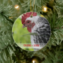 Search for chicken decor Cute