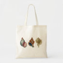 Search for shell accessories Natural