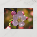 Search for blooming trees invitations Flower