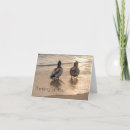 Search for mallards note cards Wildlife