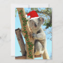 Search for aussie christmas cards Koala