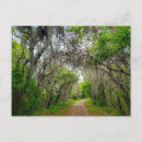 Search for the loop postcards Hiking