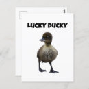 Search for funny animal photo postcards Bird
