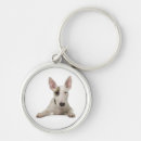 Search for bull terrier key rings Canine