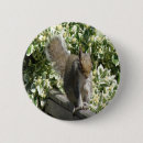 Search for squirrel picture badges Rodent