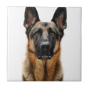 Search for german shepherd tiles Animal