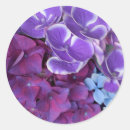 Search for shrubs stickers Floral