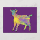 Search for animals design postcards Funny